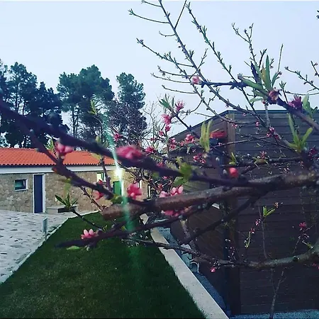 Ecohouse Parque de vacaciones Trancoso