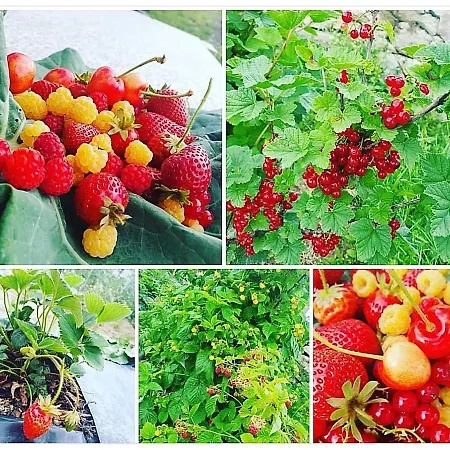 Ecohouse Parque de vacaciones