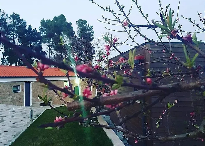 Ecohouse Parque de vacaciones Trancoso