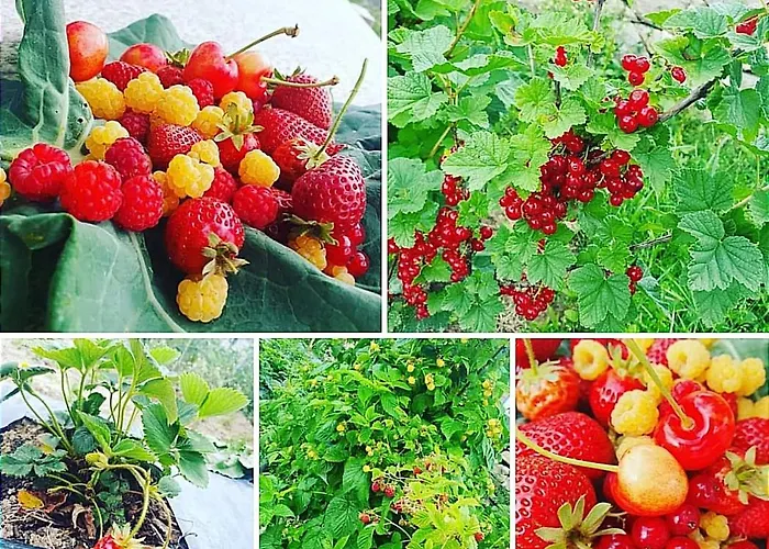 Ecohouse Parque de vacaciones